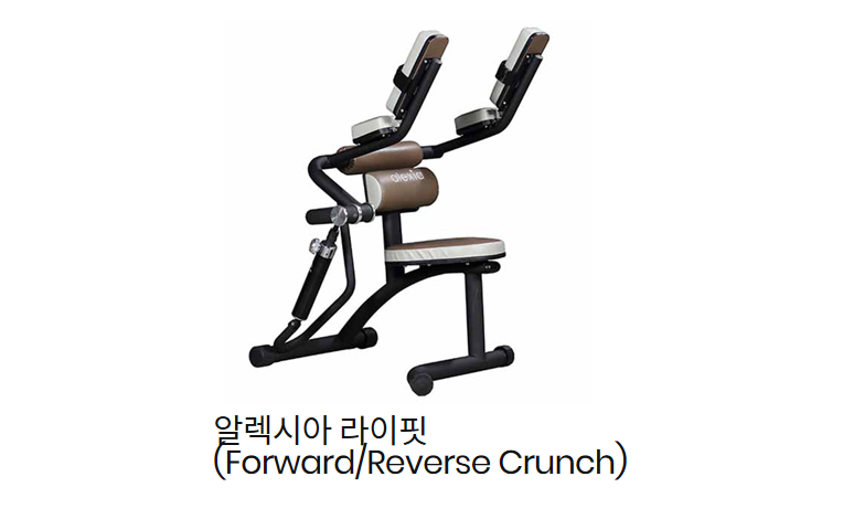 Forward Reverse Crunch.png