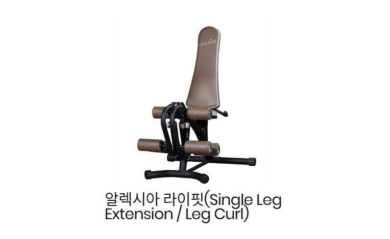 Single Leg Extension Leg Curl.png