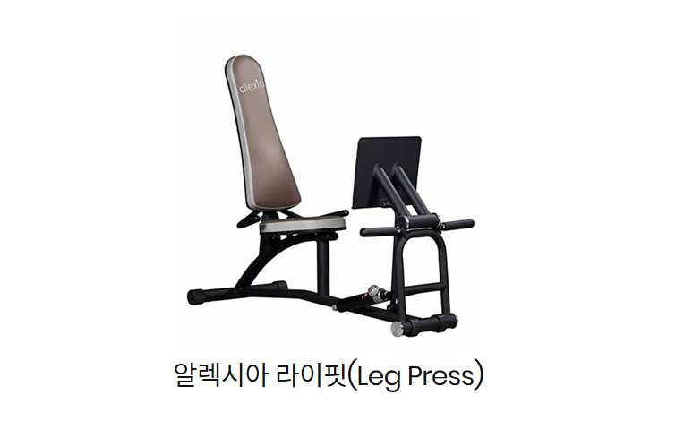 알렉시아 라이핏(Leg Press).png